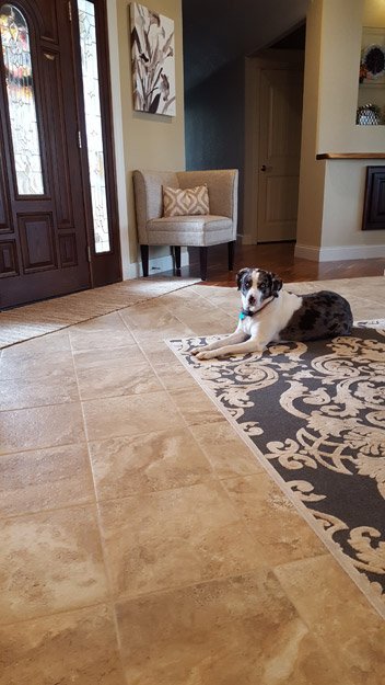 Flooring installation from Carpet Plus in the Worthington, MN area